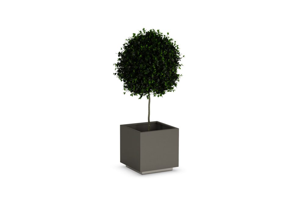 CUBICA A SINGLE PLANTER