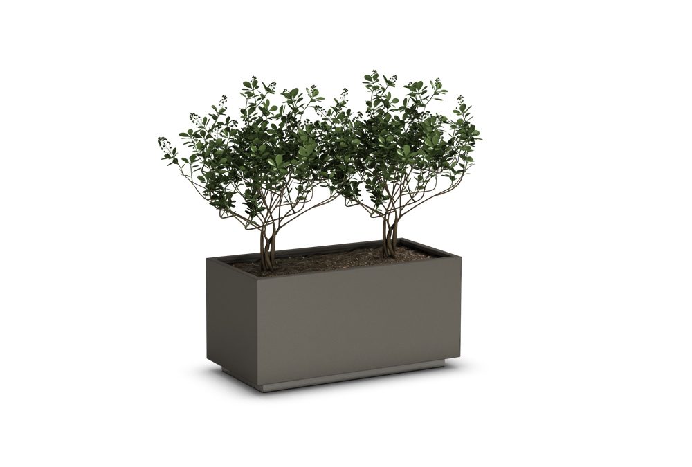 CUBICA B DOUBLE PLANTER